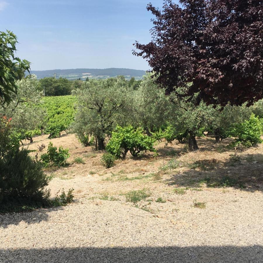 Mas Du Prescondu Villa Mirabel-aux-Baronnies Eksteriør bilde